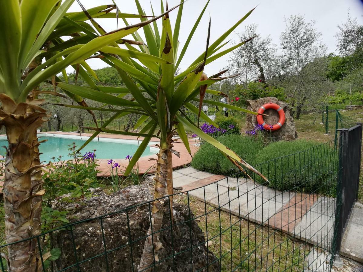 Agriturismo "Crocino In Chianti" Gaiole in Chianti Exterior photo