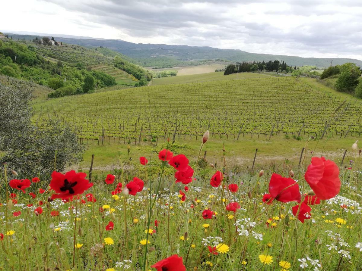 Agriturismo "Crocino In Chianti" Gaiole in Chianti Exterior photo